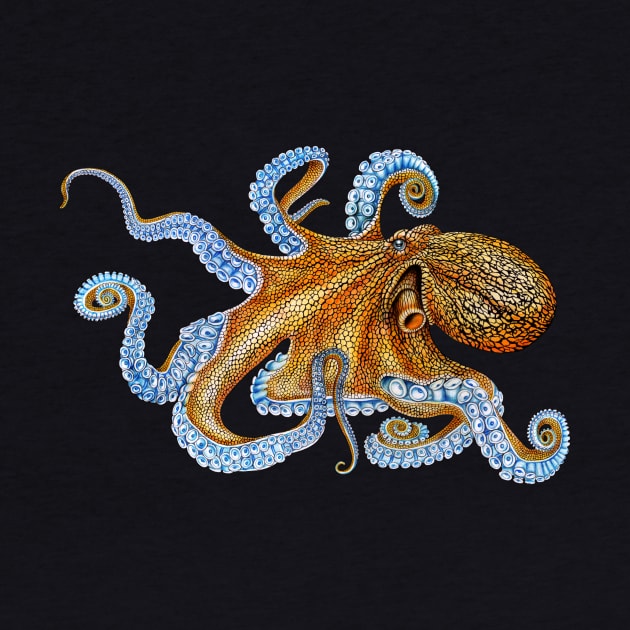 Octopus by Tim Jeffs Art